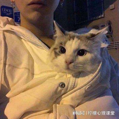 七色破解版下载